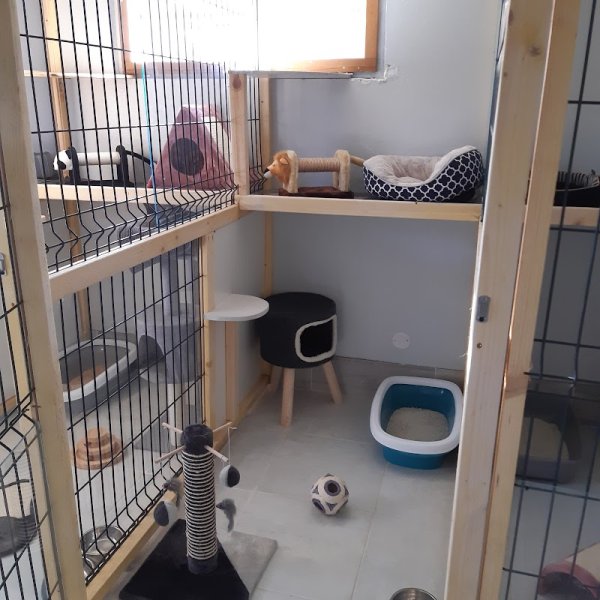 Pension canine et féline des 4'Pattes - photo 2