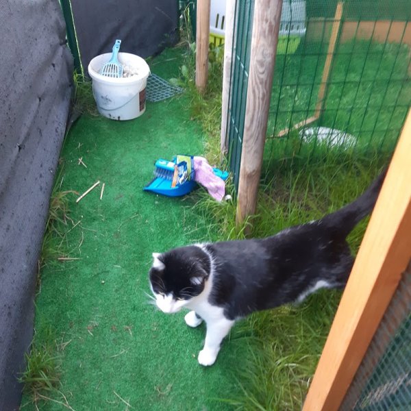 Pension canine et féline des 4'Pattes - photo 3