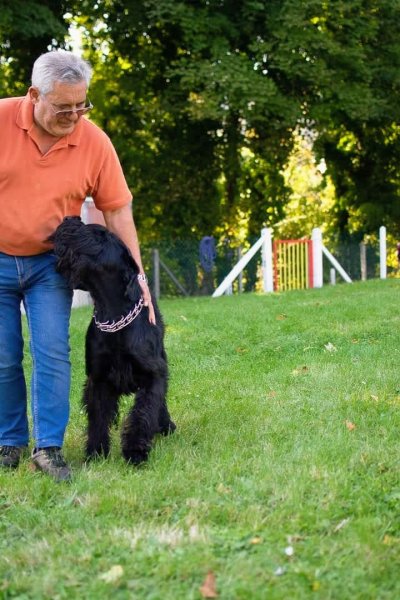 Club de chiens du Houlme - photo 3