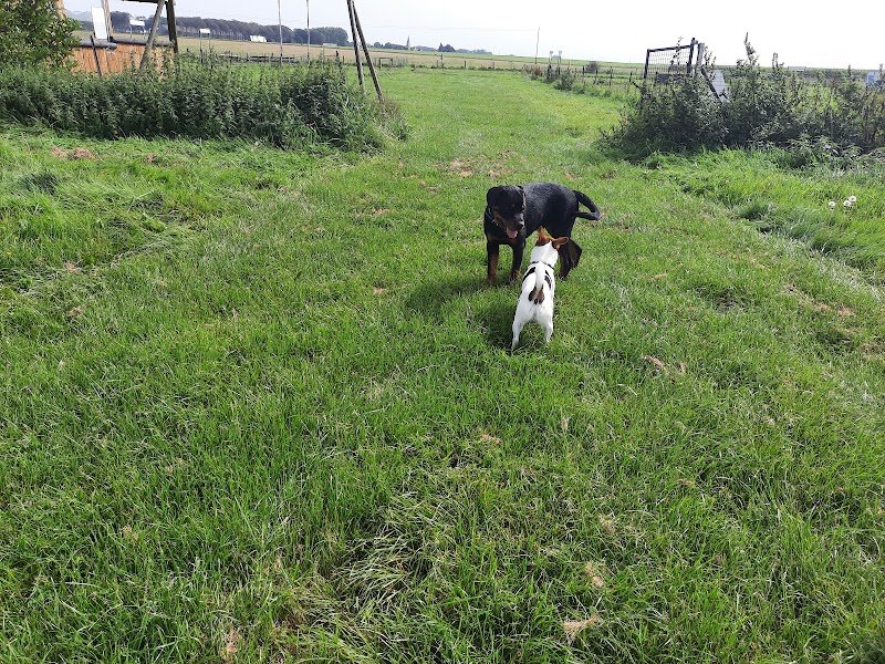 Club canin d'Életot - photo 2