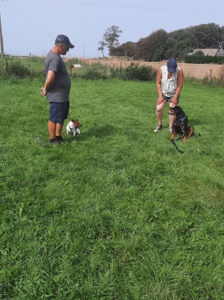 Club canin d'Életot - photo 3