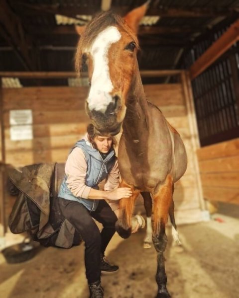 Ambre Turquetil - Masseur Equin et Canin