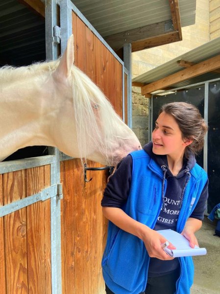Ambre Turquetil - Masseur Equin et Canin - photo 3