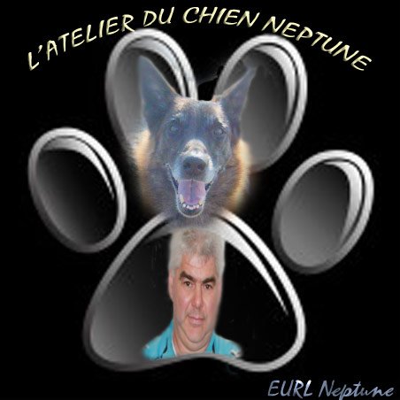 Atelier Du Chien Neptune