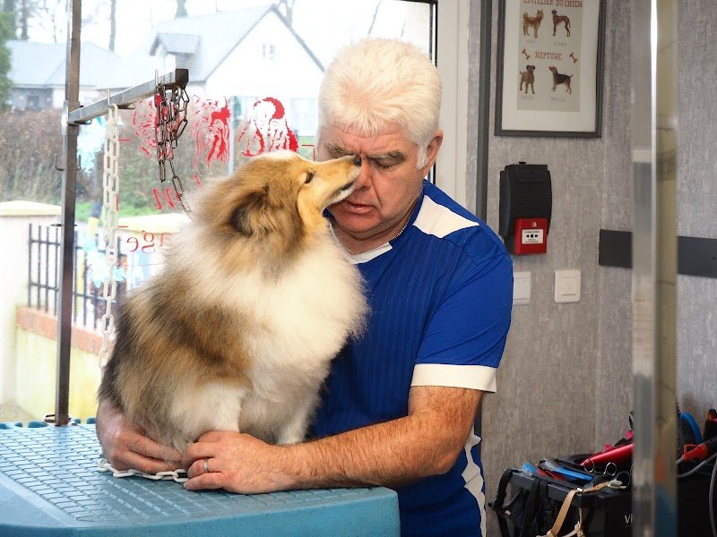 Atelier Du Chien Neptune - photo 2