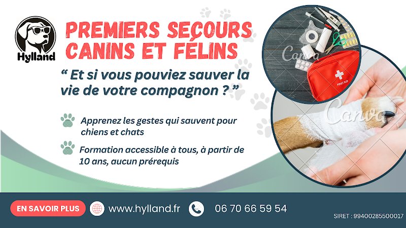 HYLLAND | Éducateur Canin • Formation • Pension - photo 3