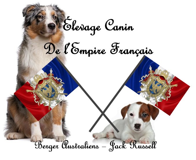 Élevage Canin De l'Empire Français : Berger Australien et Jack Russell - photo 3