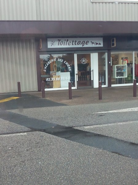 L Academie Des Chiens - photo 2