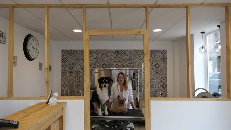 Le Rendez-Vous des Chiens