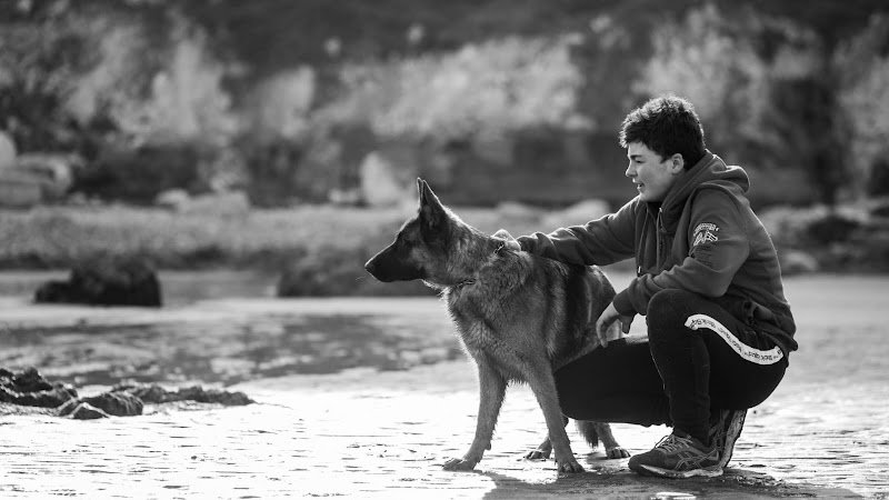 Teddy Geffroy - Education & pension canine - photo 1