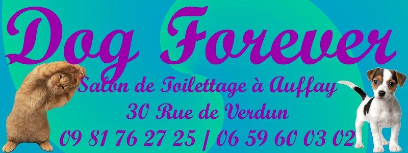 Dog Forever