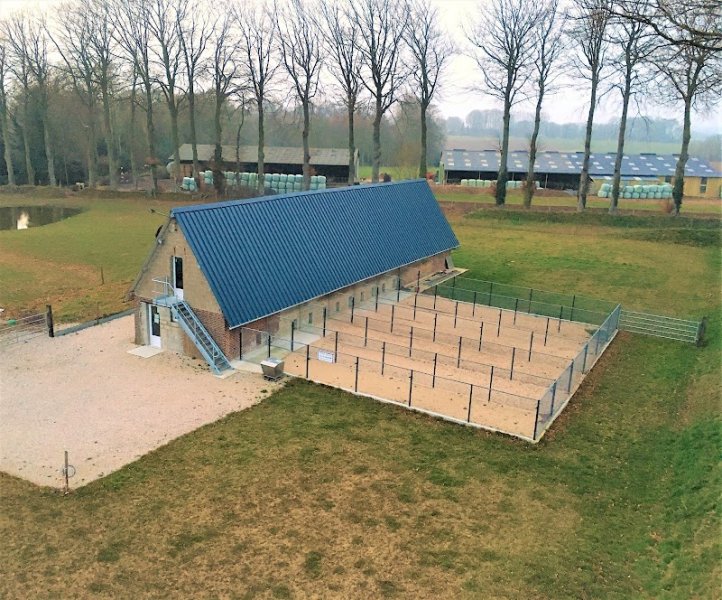 Pension pour chien à la ferme de la motte