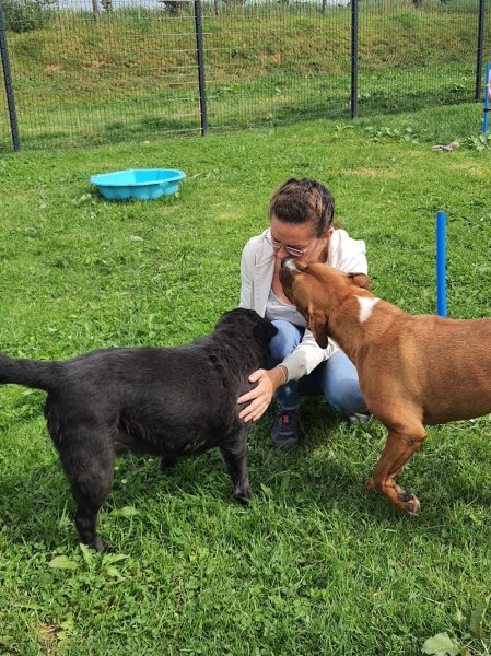Pension pour chien à la ferme de la motte - photo 3