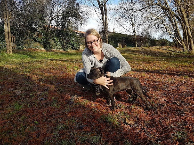 Nini et Ollie - Education canine et comportementaliste - photo 1