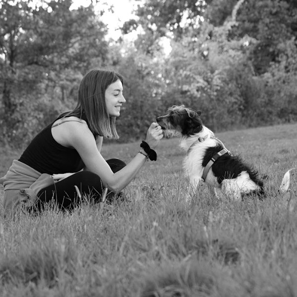 Passionnément chien - Éducation - Balades - & co’ - photo 1