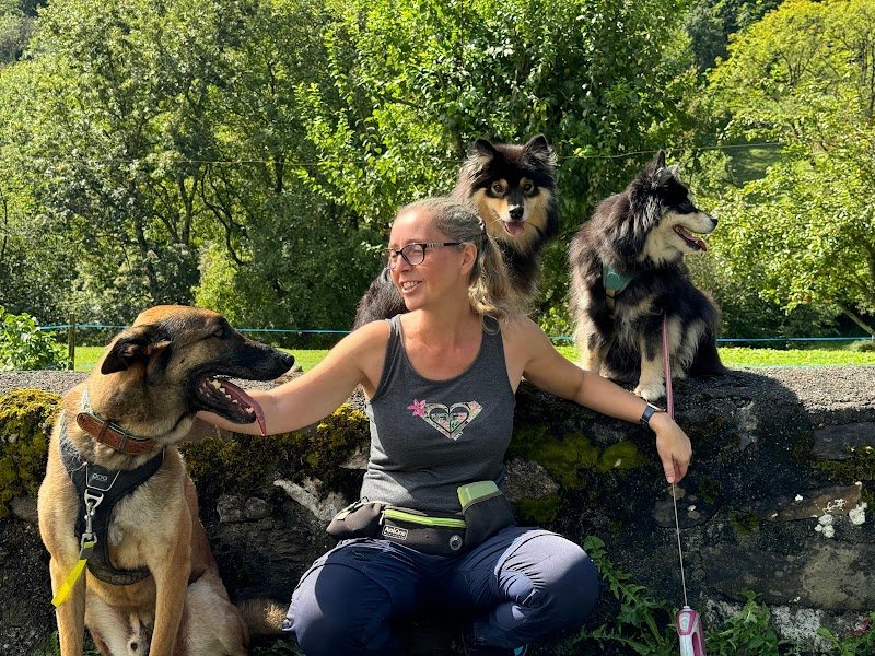 Education canine et comportementaliste canin, Gwendoline Ferrucci - photo 1