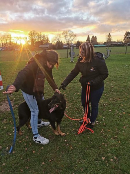 Educ Love Dog - photo 2