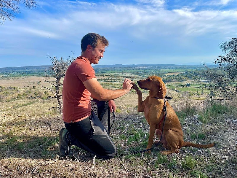 WISDOG - Educateur Comportementaliste canin - photo 2