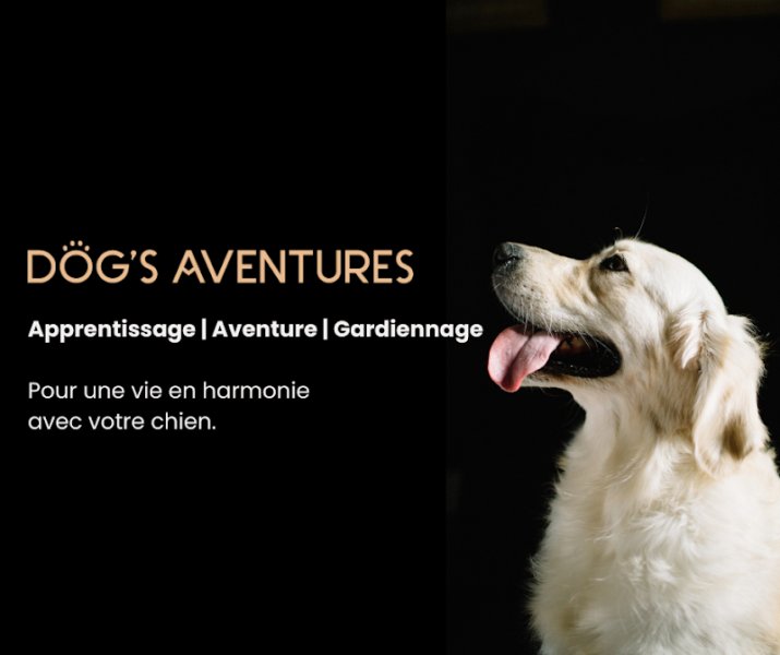 Dog's Aventures