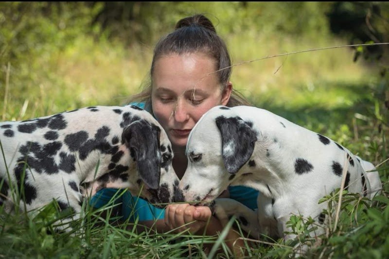 Doggy World éducateur canin Angoulême