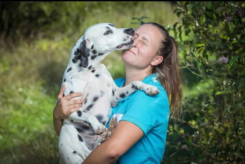 Doggy World éducateur canin Angoulême - photo 2