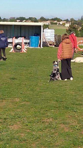Club Canin AGILITY 16 - photo 3