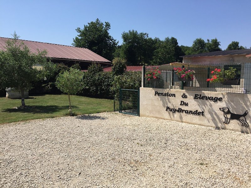 Pension Canine du Puy Brandet