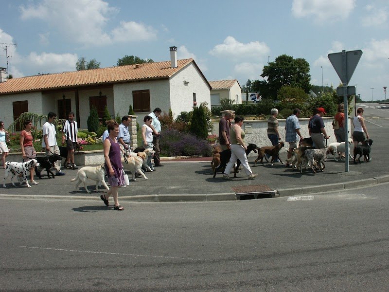 Centre canin toutes races André MARTIN - photo 1