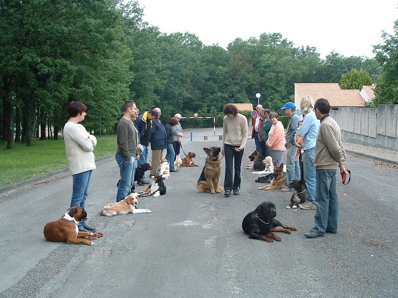 Centre canin toutes races André MARTIN - photo 2