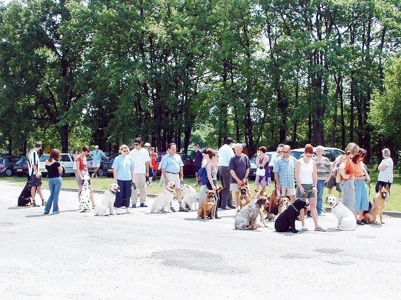 Centre canin toutes races André MARTIN - photo 3