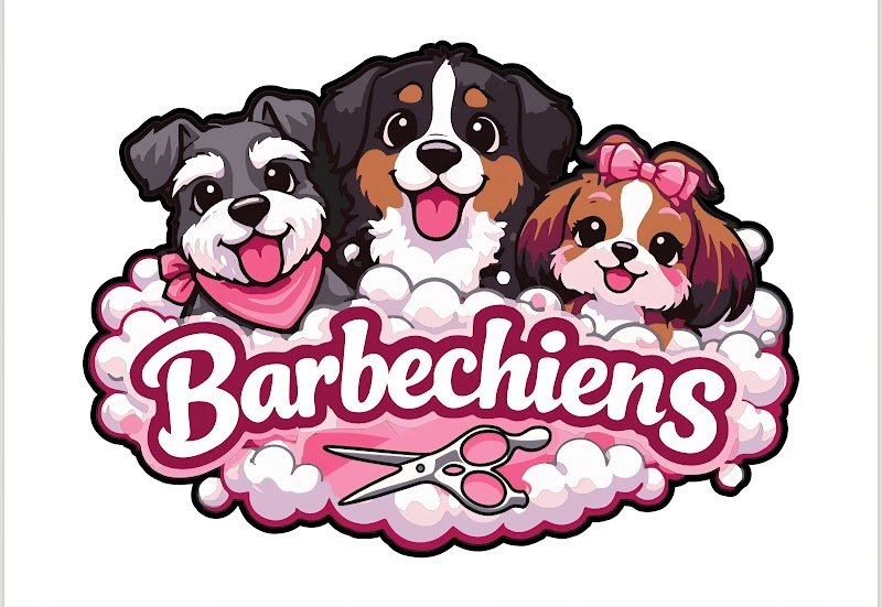 Barbechiens - photo 1