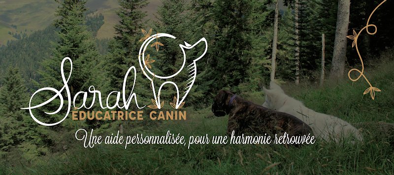 Sarah Éducatrice Canin - Jonzac et Barbezieux Saint Hilaire - Éducation canine, activités collectives et mantrailing