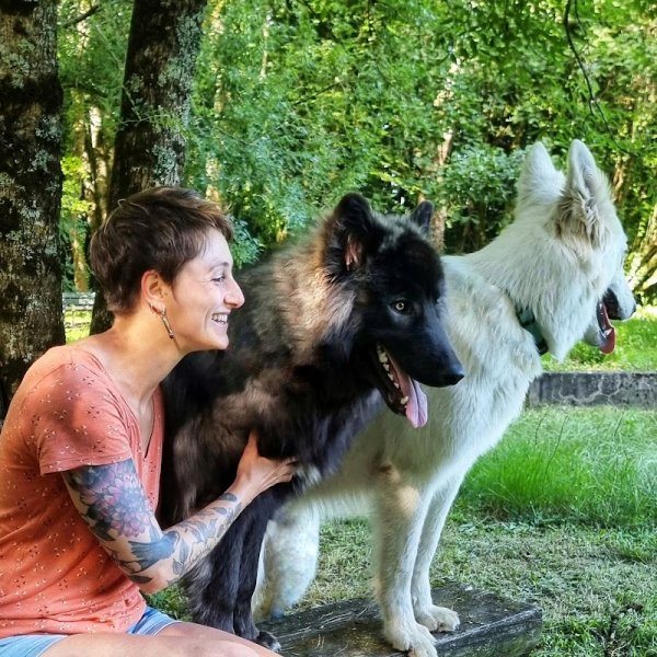 Sarah Éducatrice Canin - Jonzac et Barbezieux Saint Hilaire - Éducation canine, activités collectives et mantrailing - photo 2
