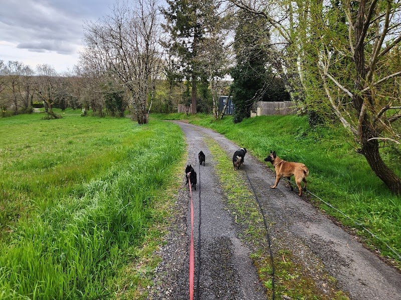 Aud Laureau, Éleveuse de Schipperkes, BB Malinois, Rottweiler et Bergers Australiens et éducatrice comportementaliste canin