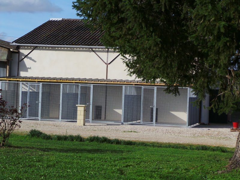 Pension Canine et Féline des Grands Lauriers - photo 2