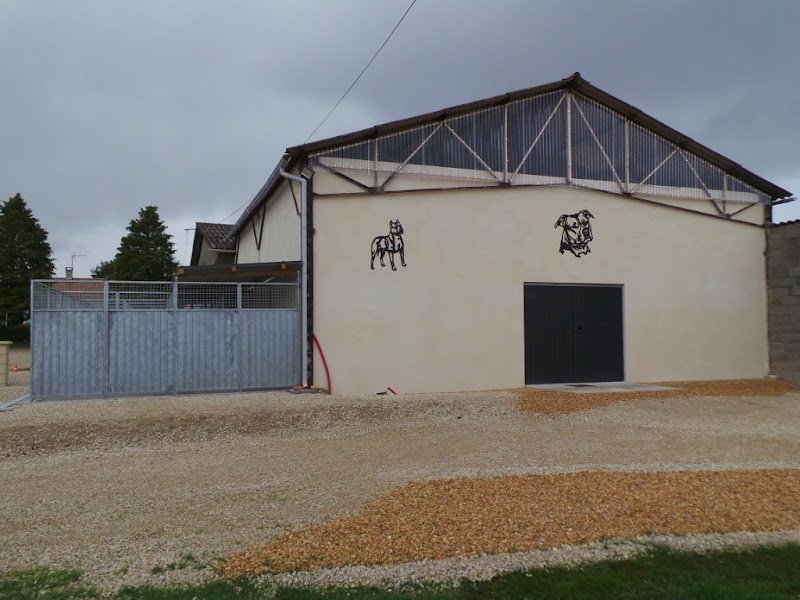 Pension Canine et Féline des Grands Lauriers - photo 3