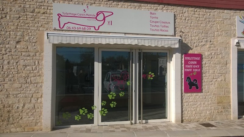 Toilettage Canin Mansle - photo 1