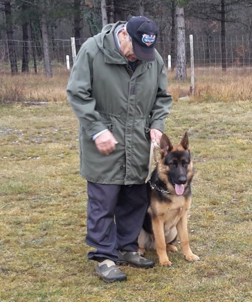 DOG N CAT SERVICE - photo 1