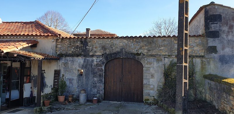 Les Chiens Sportives - photo 3