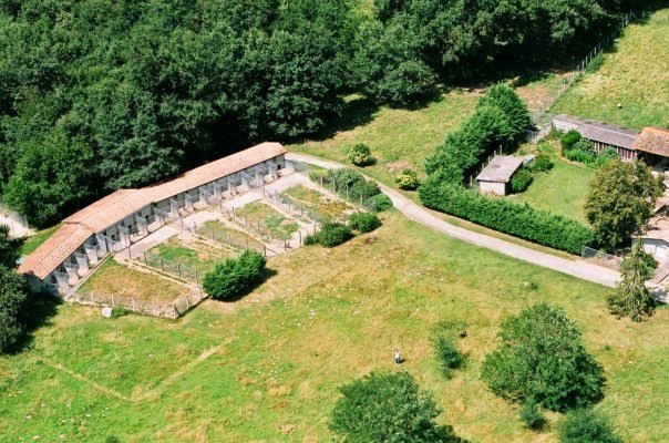 Auberge Canine et Féline de La Double - photo 2