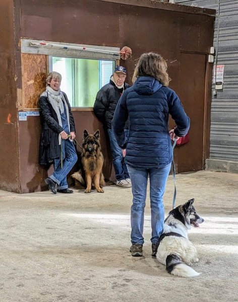 Centre de Formation Educateur Canin Un Chien Idéal - photo 2