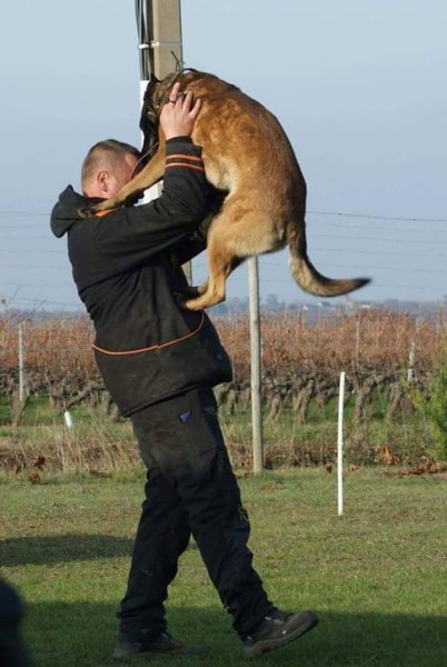 Centre Canin du DGV - photo 2