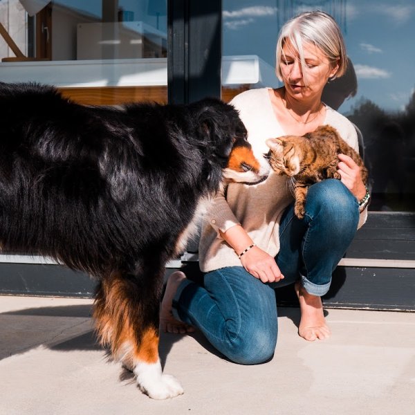 Comportementaliste Canin Felin 87 Education Canine Nathalie Autelin - photo 1