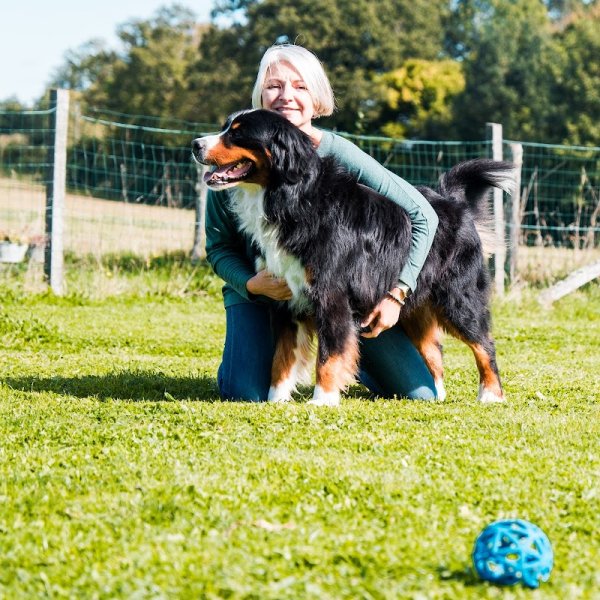 Comportementaliste Canin Felin 87 Education Canine Nathalie Autelin - photo 2