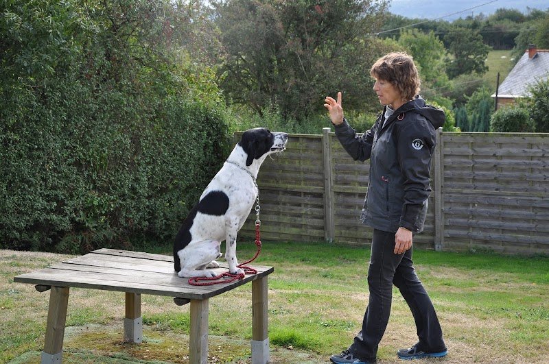 Valérie Rambeau, éducatrice canin