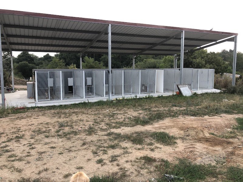 PENSION CANINE EMILIE TB - photo 2