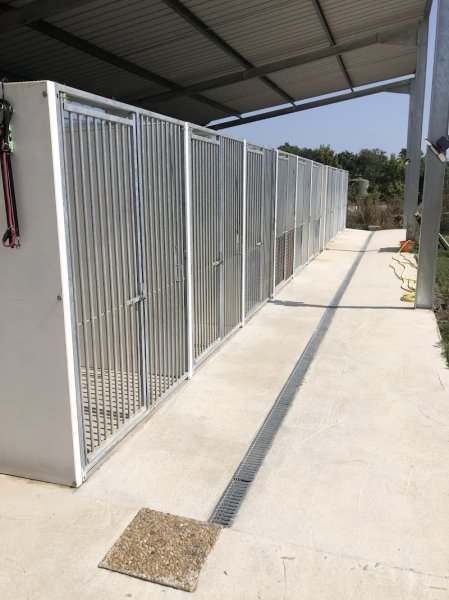 PENSION CANINE EMILIE TB - photo 3