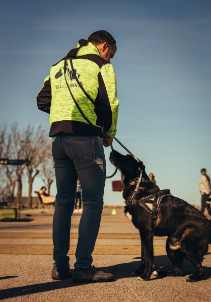 La clé des chiens, Éducateur canin et formateur premiers secours canin et félin - photo 3