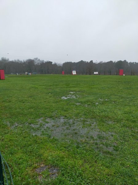 Club bordelais d'éducation canine - photo 1