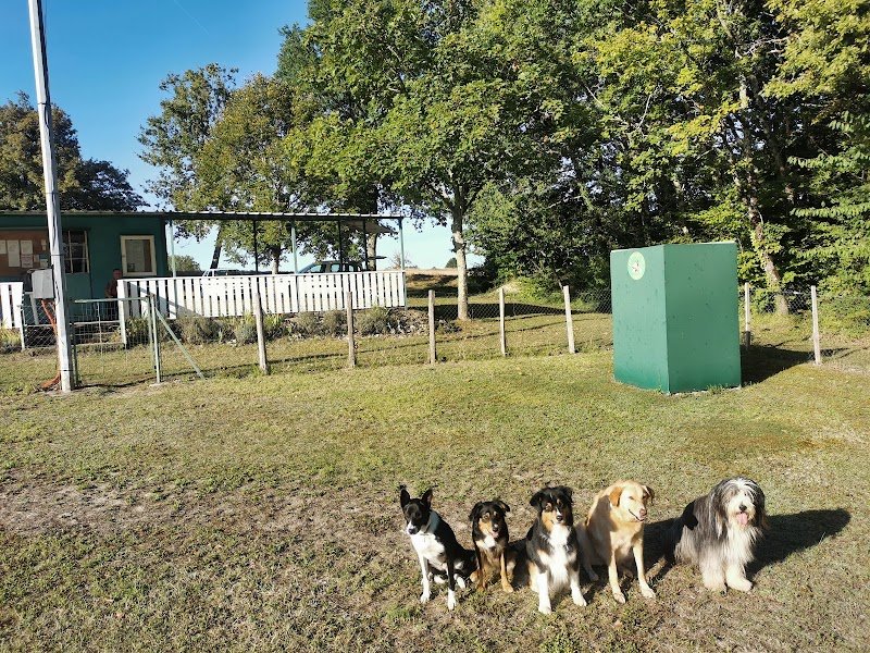 Club d'éducation canine de Riberac - photo 1
